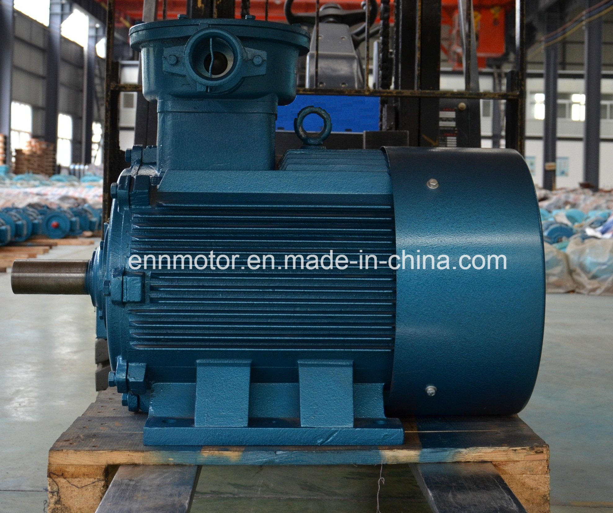 Three-Phase Induction Permanent Magnet Motor