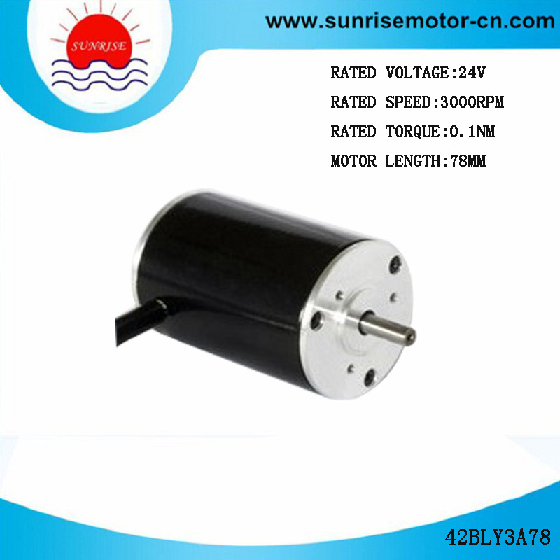 42bly3a78 BLDC Motor Electric Motor Low Voltage DC Motor BLDC Motor for