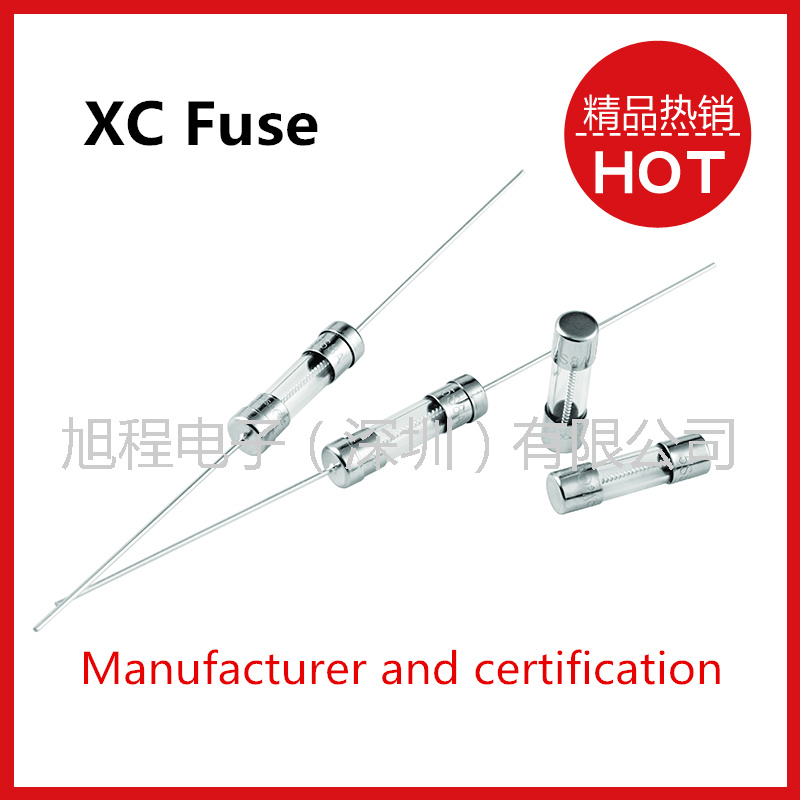 Xc Fuse 5*20 Glsss Slow Blow Fuse with PSE and KC Certification