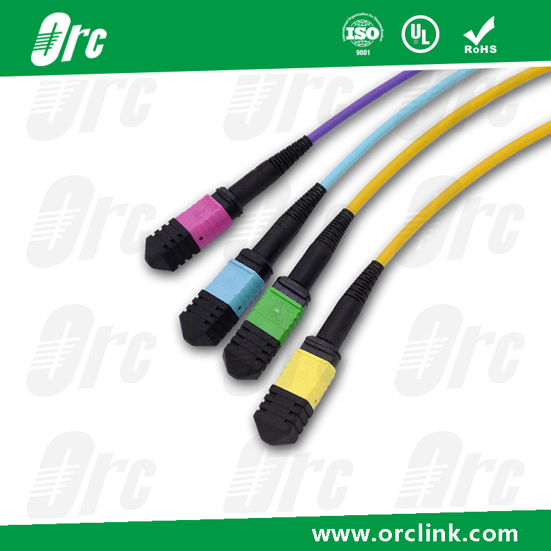 8f/12f/24f MTP/MPO Patchcord Jumper Optical Fiber Connector Sm/Om3/Om4 PVC/LSZH/Ofnp