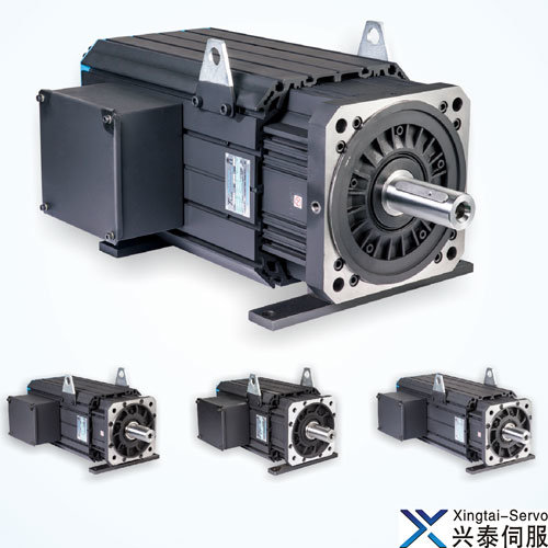 AC Servo Motor for Injection Molding Machine