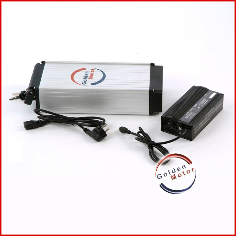 Li-ion Battery/Electric Bike Battery/Bike Lithium Battery