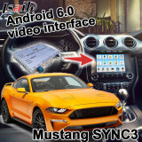 Android 6.0 Navigation Box for Ford Mustang Sync 3 Video Interface