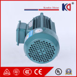 IP55 50Hz/60Hz Ys Electrical Induction Motor