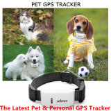 Low Price! High Quality, 2015 New Tk909 Tk Star Pet GPS Tracker Personal Item GPS Tracker/Ios APP and Andriod APP Pet GPS Tracker with Free Web Track Platform