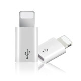 Shenzhen Factory Price Mini Micro USB Adapter for iPhone