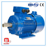 Y2 Cast Iron Asynchronous AC Electric Three Phase Induction Motor