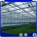 Galvanized Steel Structure Glass Cover Commercial Greenhouses