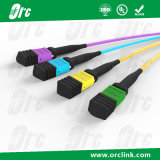 8f/12f/24f MTP/MPO Patchcord Jumper Optical Fiber Connector Sm/mm/Om3/Om4 PVC/LSZH/Ofnp 4m