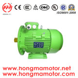2HMI Series Motor/Ie2 (EFF1) High Efficiency Electric Motor with 4pole-30kw