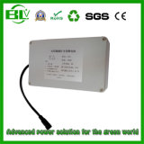 Solar Street Light Battery Backup Solar System Battery 12V 30ah Customzied Capacity