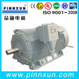 AC Explosion Proof Motor for Coal Mine