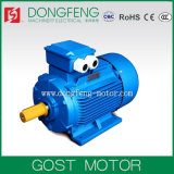 GOST Motor ANP Series AC Motor for Russia Market
