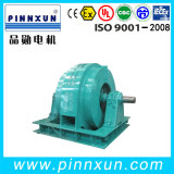 Permanent Magnet Synchronous Motor (PMSM)
