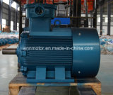 Three-Phase Induction Permanent Magnet Motor