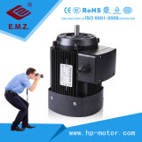 Mc Series AC Single Phase and Three-Phase Induction Vertical and Horizontal Electric Motor