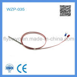 Wzp-035 PTFE Cable 2 Wires PT100 Sensor