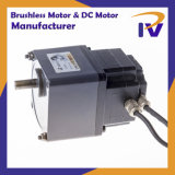 Permanent Magnet 24V-36V 20W-60W Brushless DC BLDC Motor for Pump Driver