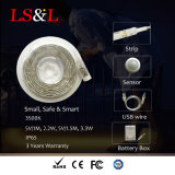 Motion Sensor LED Strip Night Light USB Lighting