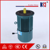 Three Phase AC Brake Electrical (Electric) Motor with Cycloidal Reducer