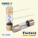 Hot Sale Golden Plated Glass Power Fuse/Glass Car Fuse/ Auto Fuse