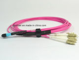 Om4 12 Fiber MTP to LC Fiber Optic Patchcord