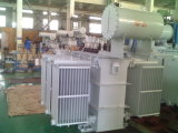 Oil-Immersed Power Transformer/Power Substation