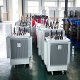 Step Down 3 Phase Oil Immersed Power Distribution Transformer