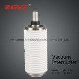 Vacuum Circuit Breaker Zn28 Vs1 Td630/12-31.5