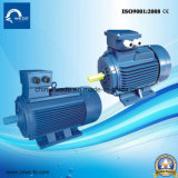 Electrical Motor Asynchronous Motor Cast Iron Three-Phase Y2 Series