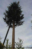 Communication Mast Mono Pole Camouflaged Telecom Tree Tower
