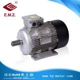 Y2 Series High Voltage Three Phase Compact Type Asynchronous AC Electric Motor