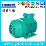 110kw Electric 3phase Indcution AC Squirrel Cage Motor