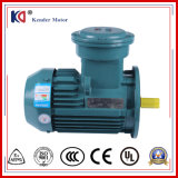 Yb2 Yb3 Explosion Proof AC Electric Induction Motor with Customize Voltage