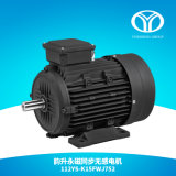 AC Permanent Magnet Synchronous Motor (7.5kw 3000rpm)