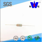 Rhos Approval Thermal Fuse Wirewound Resistor