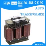 Auto Transformer for Industry (Low Voltage)