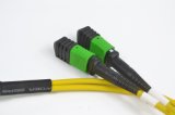 MPO/APC Fiber Optic Trunk Cable 48core Sm Ofnp