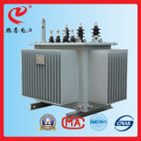 10kv Oil-Immersed Distribution Power Transformer for Distribution System