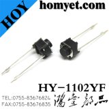 DIP Tact Switch with Long Straight Feet 6*6mm 2pin (HY-1102YF)