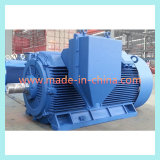 Y2 Series High Voltage Compact Structure AC Motor