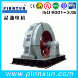 Permanent Magnetic Synchronous Motor