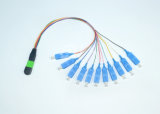 MPO/MTP-Sc 12 Colour Ribbon Fiber Optic Cable