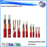 IEC60584/Electrical Extension Cable