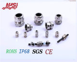 304 Stainless Steel Cable Gland Metal316L Cable Gland
