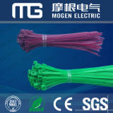 Plastic Hot Sale PA66 Nylon Cable Tie