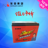 6-Dzm-30 (12V30AH) Deep Cycle Battery/Electric Vehicle Battery for E-Bike Battery