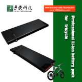 Factory Sale 48 Volt Lithium Ion Battery for Electric Bicycle