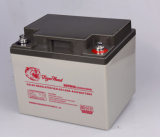 Deep Cycle Battery 6gfm42 with Good Price
