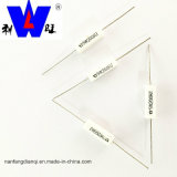 Rx27 Type Ceramic Encased Wire Wound Resistor with Factory Price